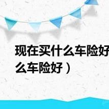 现在买什么车险好（什么车险好）