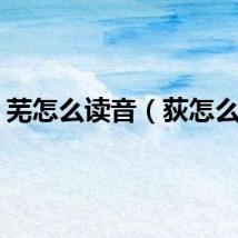 芜怎么读音（荻怎么读）