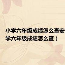 小学六年级成绩怎么查安徽（小学六年级成绩怎么查）