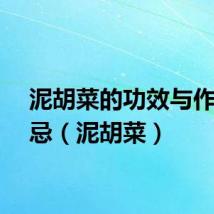 泥胡菜的功效与作用禁忌(泥胡菜)
