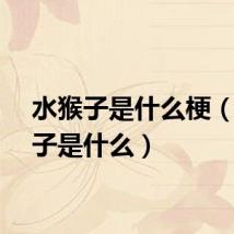 水猴子是什么梗（水猴子是什么）
