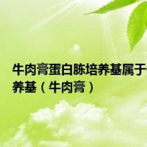 牛肉膏蛋白胨培养基属于什么培养基(牛肉膏)