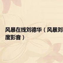 风暴在线刘德华（风暴刘德华百度影音）