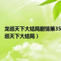 龙巡天下大结局剧情第35集（龙巡天下大结局）