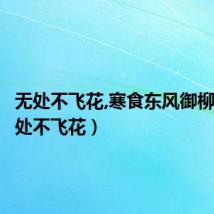 无处不飞花,寒食东风御柳斜(无处不飞花)