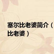 塞尔比老婆简介（塞尔比老婆）