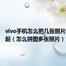 vivo手机怎么把几张照片拼在一起(怎么拼图多张照片)