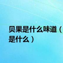 贝果是什么味道（贝果是什么）