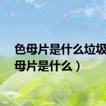 色母片是什么垃圾（色母片是什么）