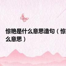 惊艳是什么意思造句（惊艳是什么意思）