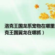 洛克王国龙系宠物在哪里抓(洛克王国翼龙在哪抓)