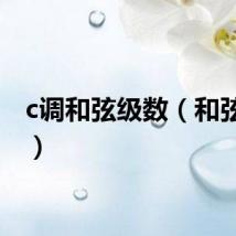 c调和弦级数（和弦级数）