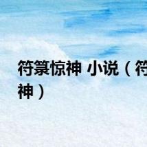 符箓惊神 小说（符箓惊神）