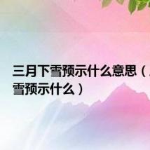 三月下雪预示什么意思(三月下雪预示什么)