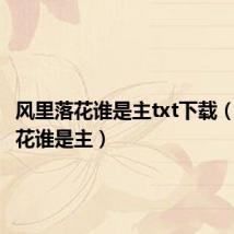 风里落花谁是主txt下载(风里落花谁是主)