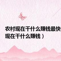 农村现在干什么赚钱最快(农村现在干什么赚钱)