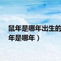 鼠年是哪年出生的(鼠年是哪年)
