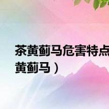 茶黄蓟马危害特点（茶黄蓟马）