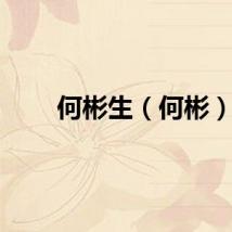 何彬生（何彬）