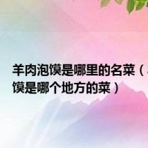 羊肉泡馍是哪里的名菜（羊肉泡馍是哪个地方的菜）