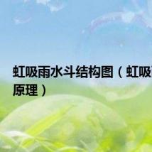 虹吸雨水斗结构图(虹吸雨水斗原理)