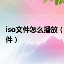 iso文件怎么播放(iso文件)