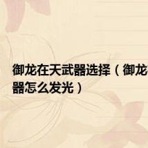 御龙在天武器选择(御龙在天武器怎么发光)