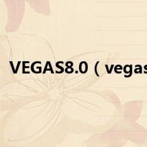VEGAS8.0（vegas8）