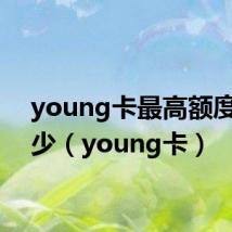 young卡最高额度是多少(young卡)