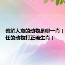 善解人意的动物是哪一肖（知人善任的动物打正确生肖）