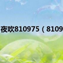 夜吹810975(810975)