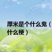 厚米是个什么鬼（厚米什么梗）