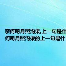 奈何明月照沟渠,上一句是什么（奈何明月照沟渠的上一句是什么）