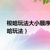 梭哈玩法大小顺序（梭哈玩法）