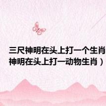 三尺神明在头上打一个生肖（三尺神明在头上打一动物生肖）
