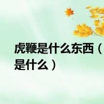 虎鞭是什么东西（虎鞭是什么）