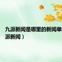 九派新闻是哪里的新闻单位（九派新闻）
