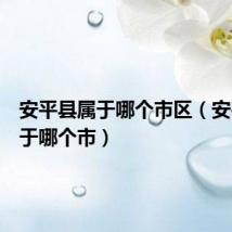 安平县属于哪个市区(安平县属于哪个市)