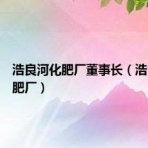 浩良河化肥厂董事长(浩良河化肥厂)