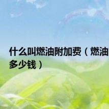 什么叫燃油附加费(燃油附加费多少钱)