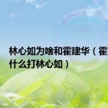 林心如为啥和霍建华(霍建华为什么打林心如)