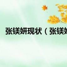 张镁妍现状（张镁妍）