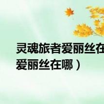 灵魂旅者爱丽丝在哪（爱丽丝在哪）