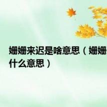 姗姗来迟是啥意思(姗姗来迟是什么意思)