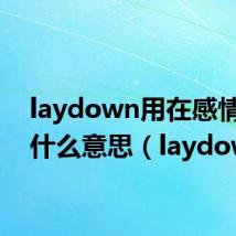 laydown用在感情里是什么意思(laydown)