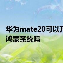 华为mate20可以升级成鸿蒙系统吗