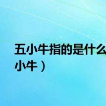 五小牛指的是什么（五小牛）