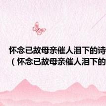 怀念已故母亲催人泪下的诗词图片（怀念已故母亲催人泪下的诗词）