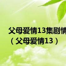 父母爱情13集剧情介绍(父母爱情13)