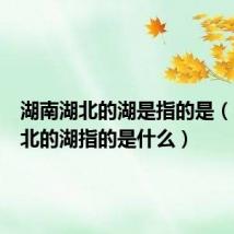 湖南湖北的湖是指的是(湖南湖北的湖指的是什么)